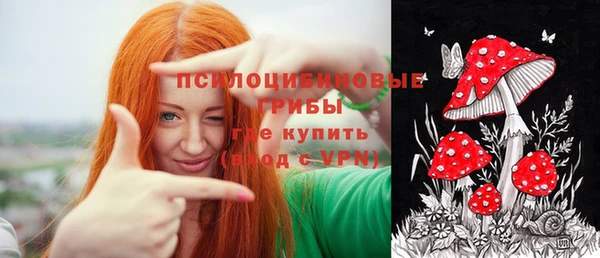 бутират Алексеевка
